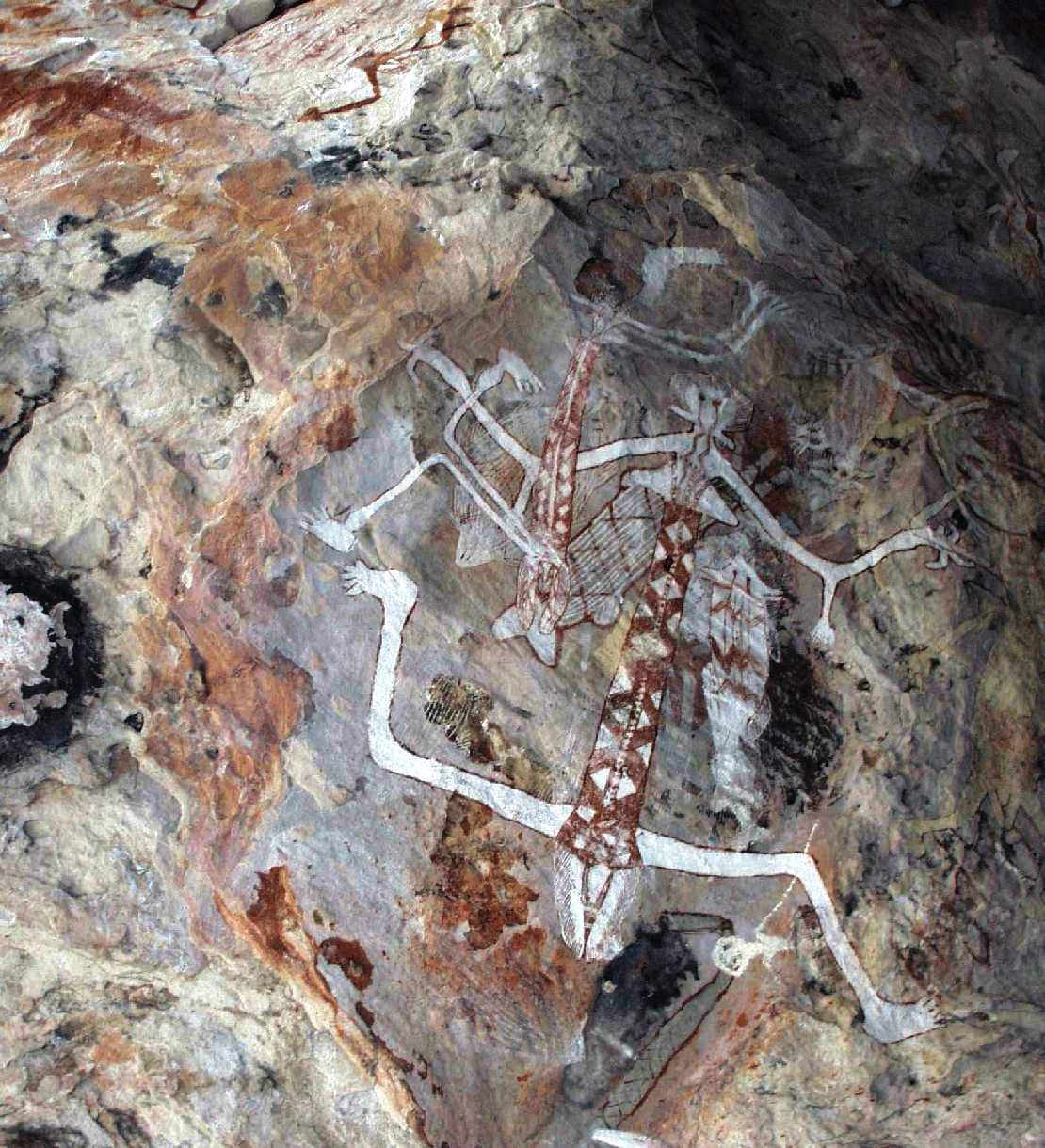 Frauenbilder, Felsmalerei im Arnhemland