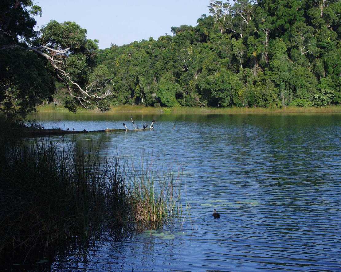 der Lecuala Ransee in den Tablelands 