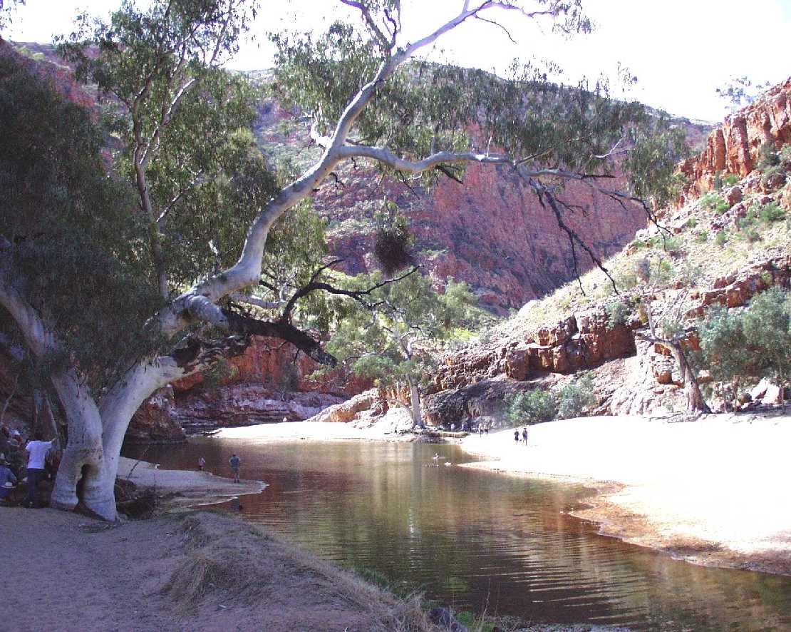 Ormiston Gorge das Wasserloch am Ausgang der Schlucht