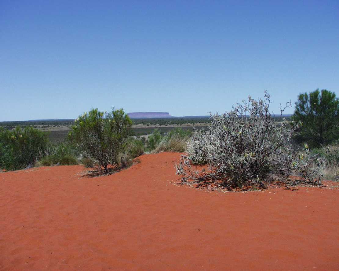 Mount Conner