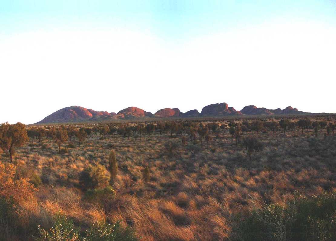 Die Olgas