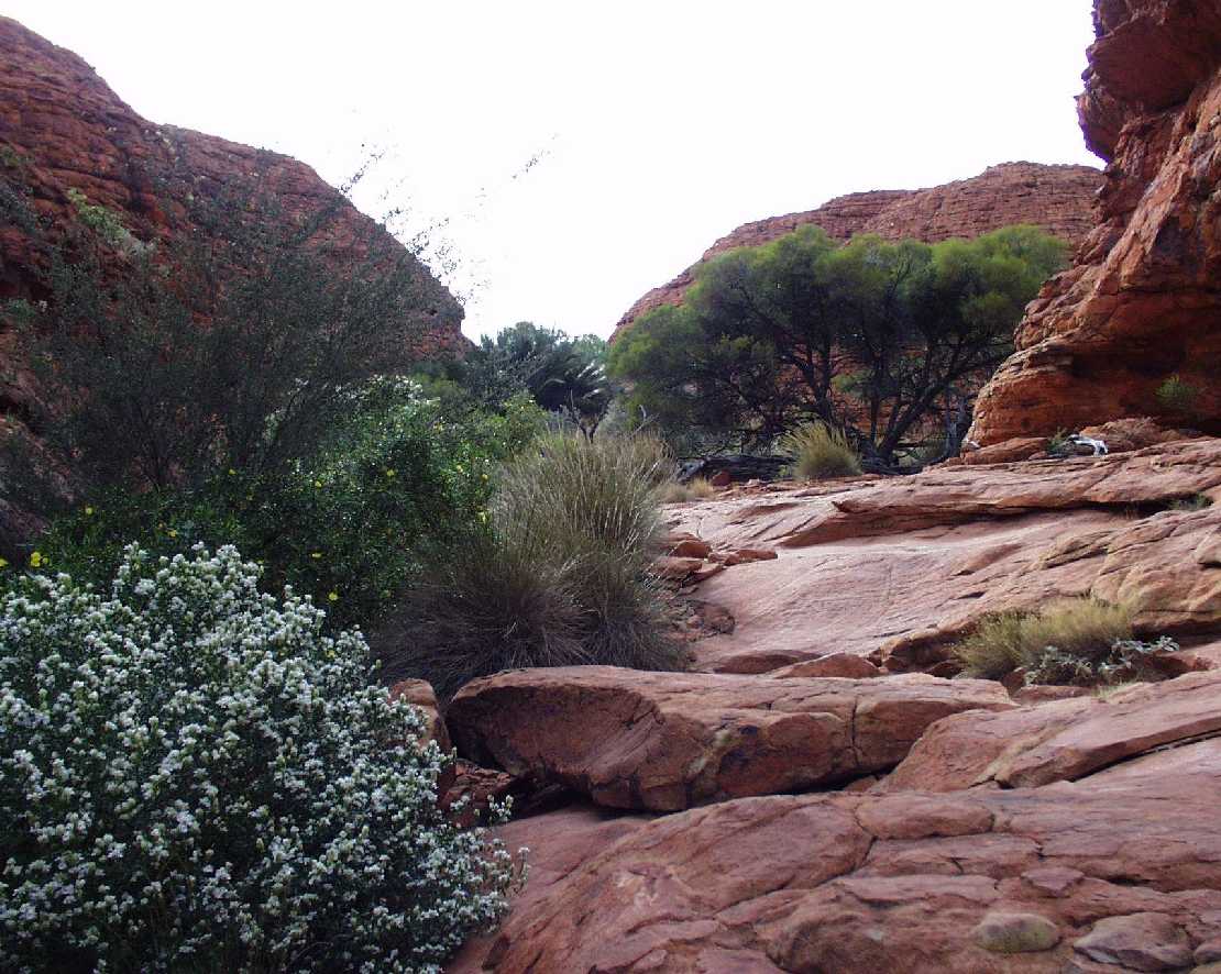 In der Lost City am Kings Canyon Trail