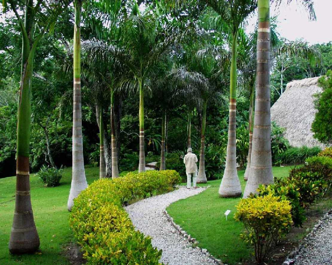Chaa Creek Cottages