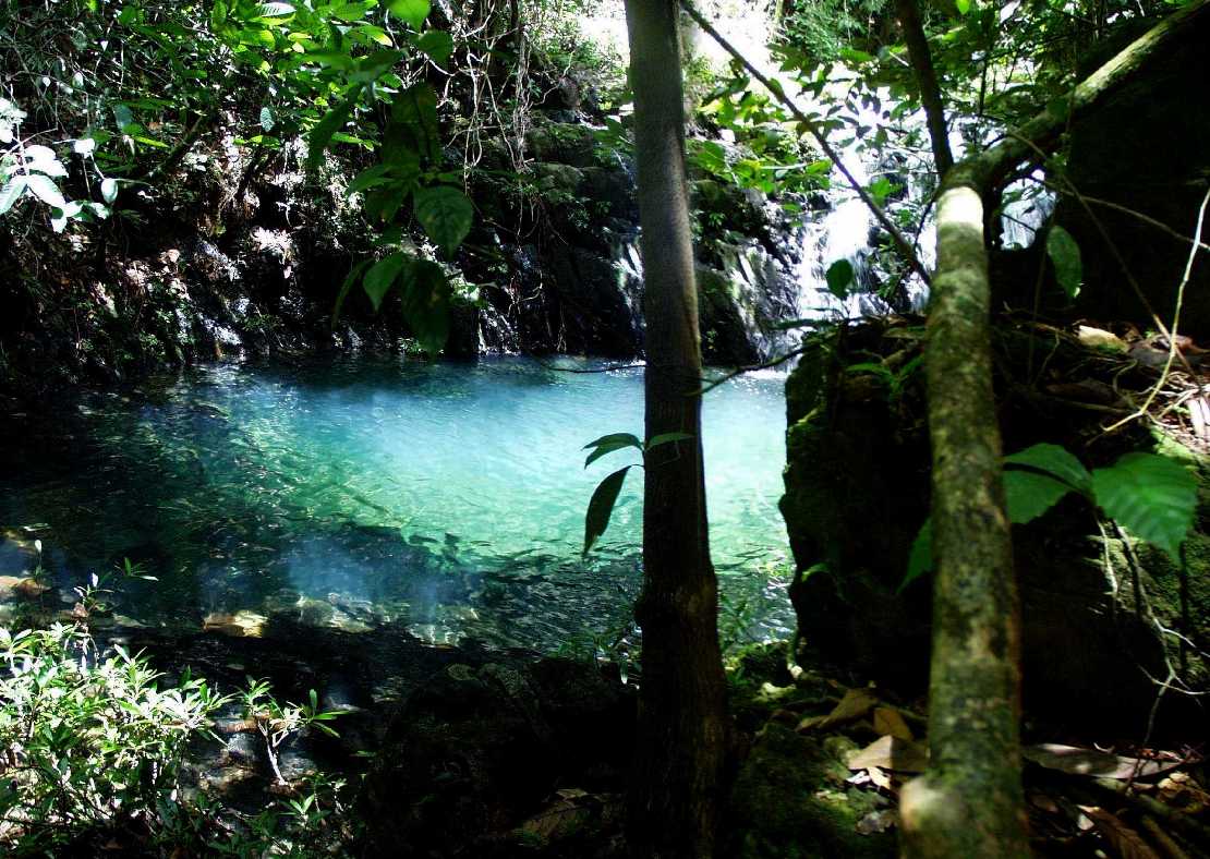 im Bocawina Nationalpark