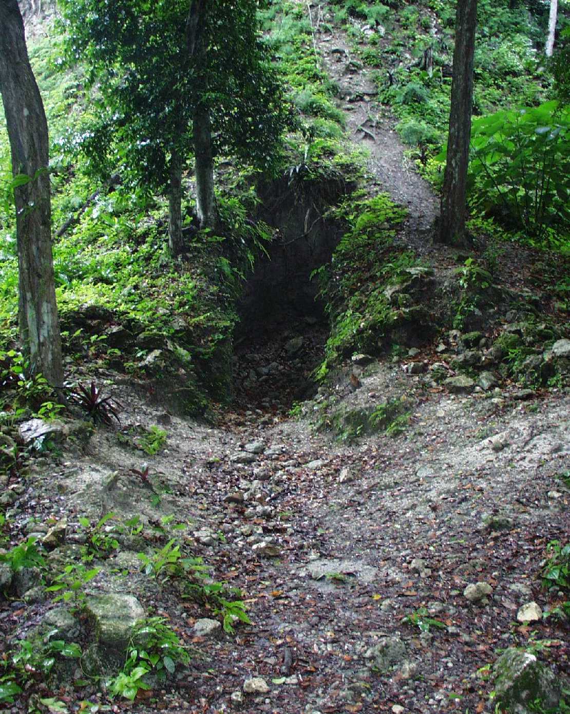 Raubgrber an neu entdeckter Mayaruine