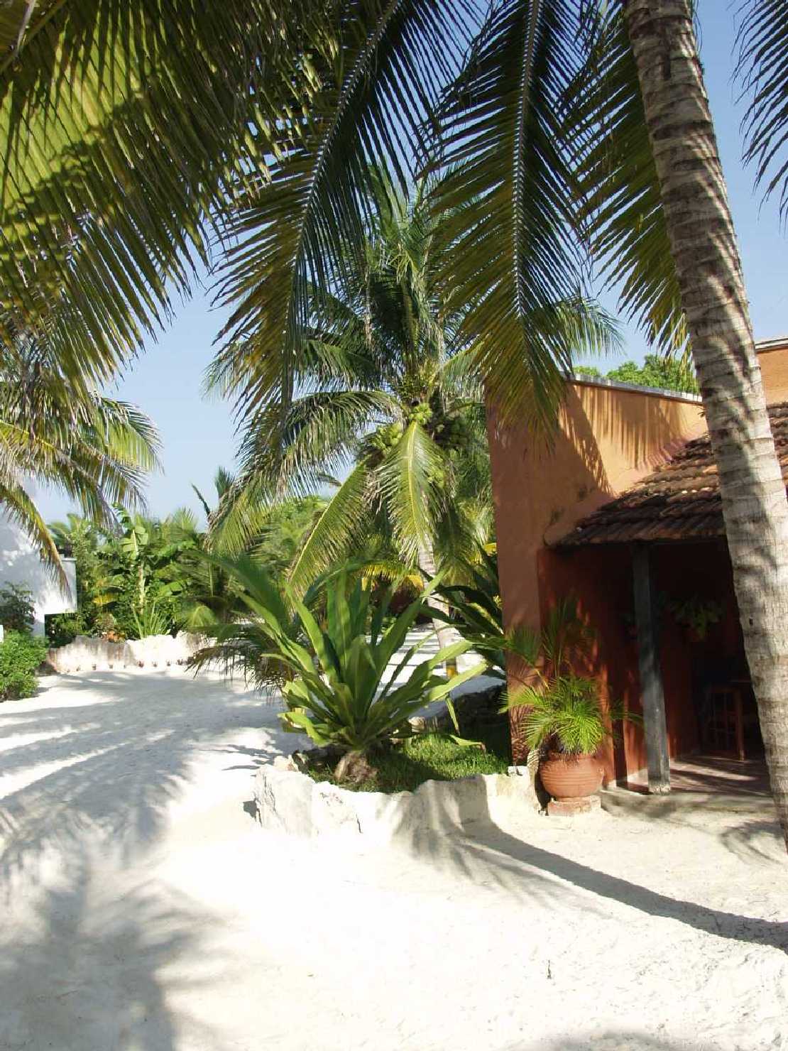 Hotel Capitn Lafitte