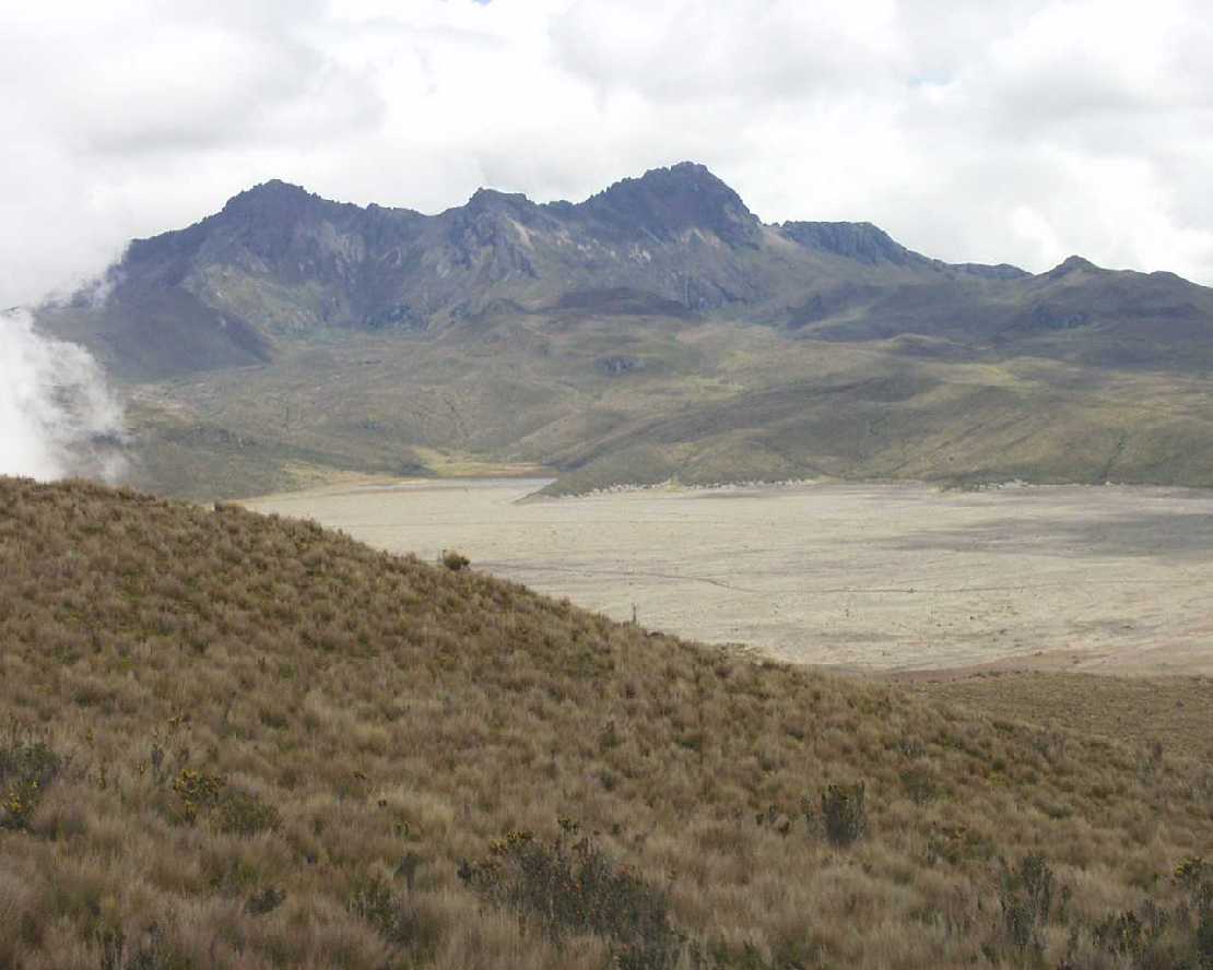 Flechtenteppich am Cotopaxi