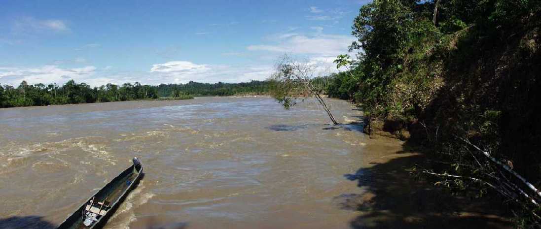 Amazonas, Hochwasser im Rio Napo