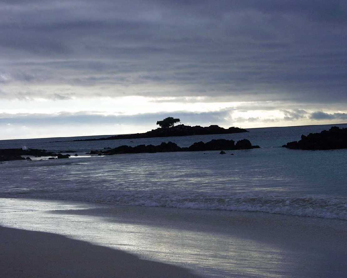 Galapagos Insel Baltra