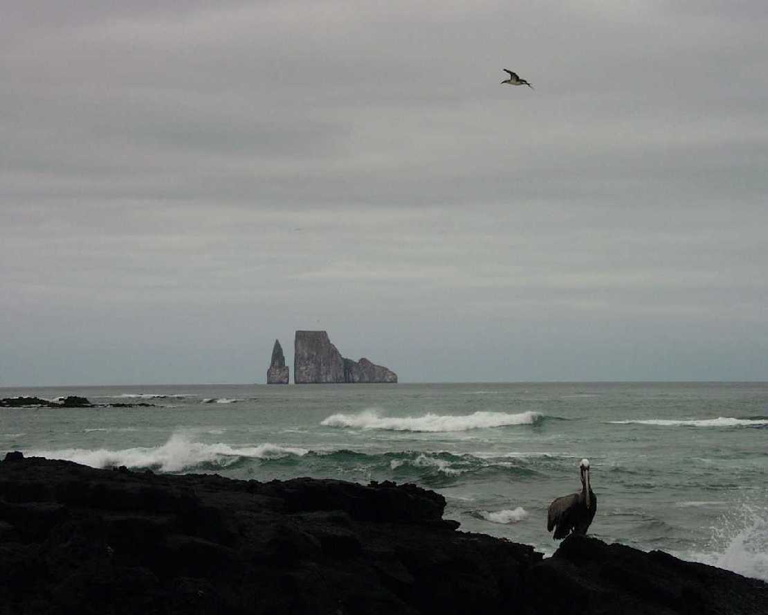 Galapagos Leon Dormido de Son Inseln gegenber der Insel Baltra